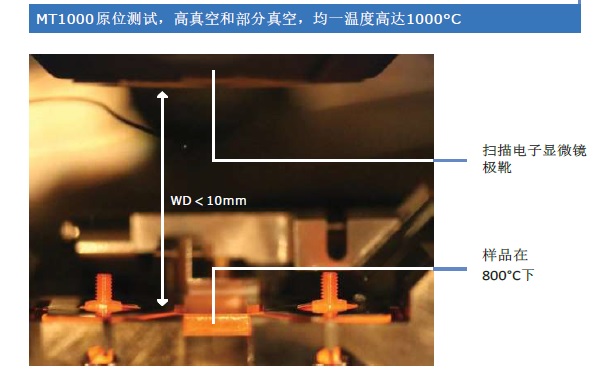 &#20122;&#26032;&#32593;&#31449;&#95;&#20122;&#26032;&#40;&#20013;&#22269;&#41;